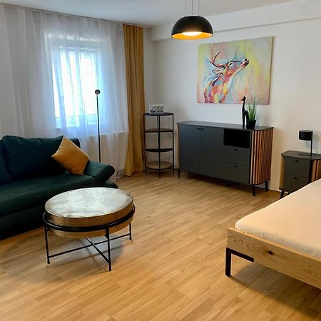 Air-Conditioned, Quiet Apartment With A Terrace In Center Of St Poelten - Smart Tv Sankt Poelten Ngoại thất bức ảnh