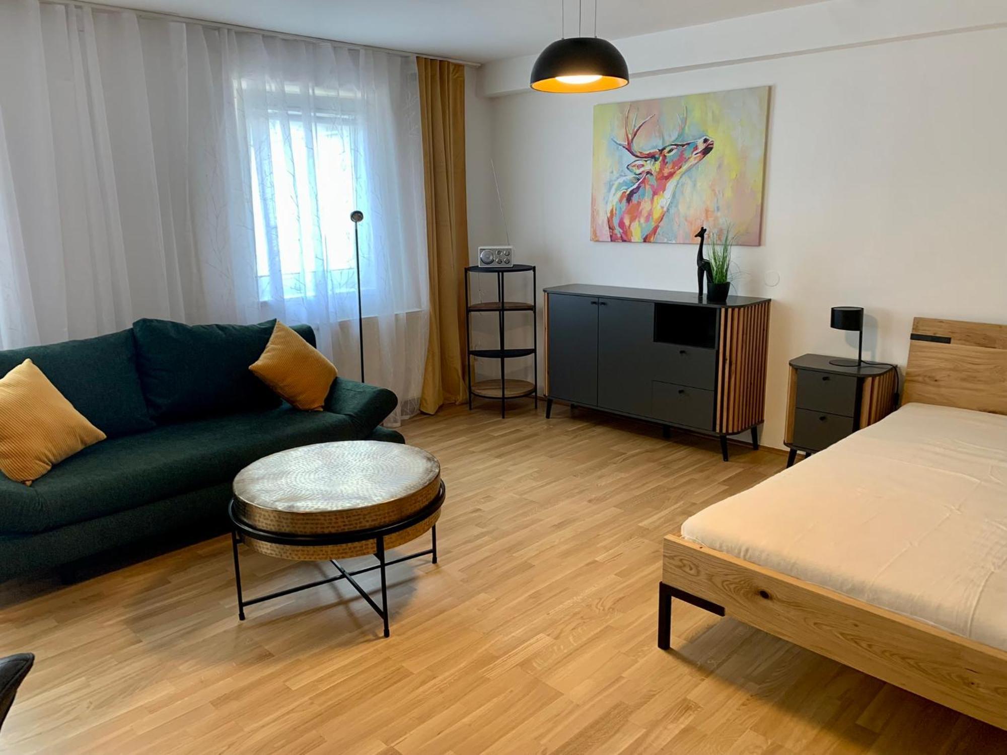 Air-Conditioned, Quiet Apartment With A Terrace In Center Of St Poelten - Smart Tv Sankt Poelten Ngoại thất bức ảnh